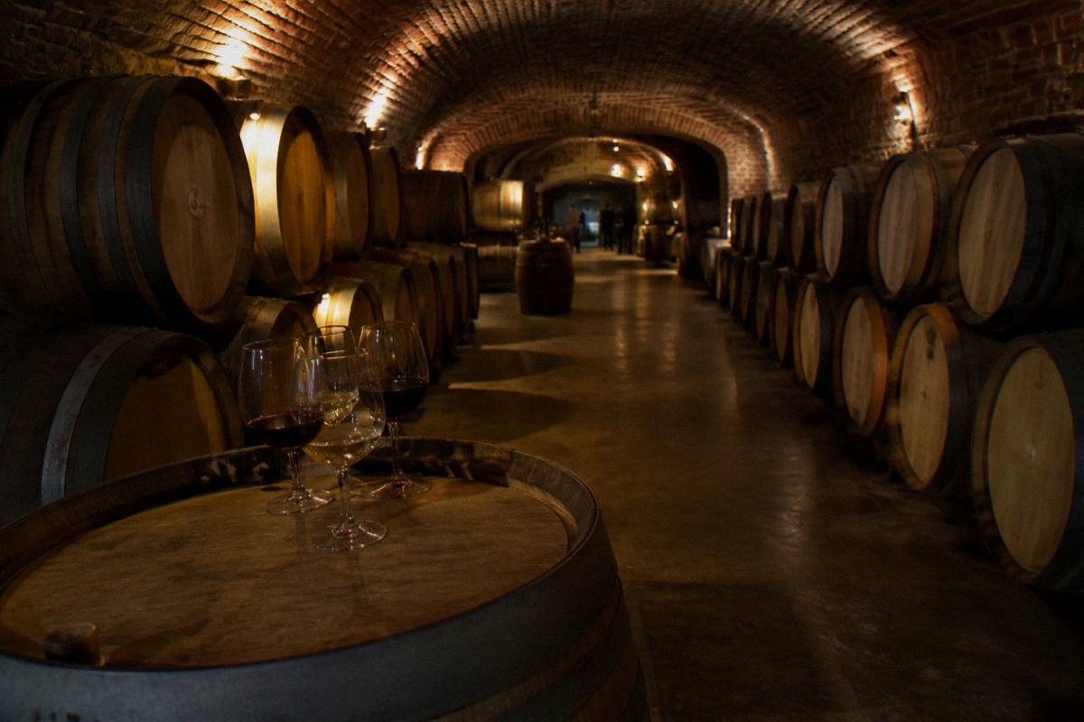 Oak barrels in a family winery cellar near Montevideo