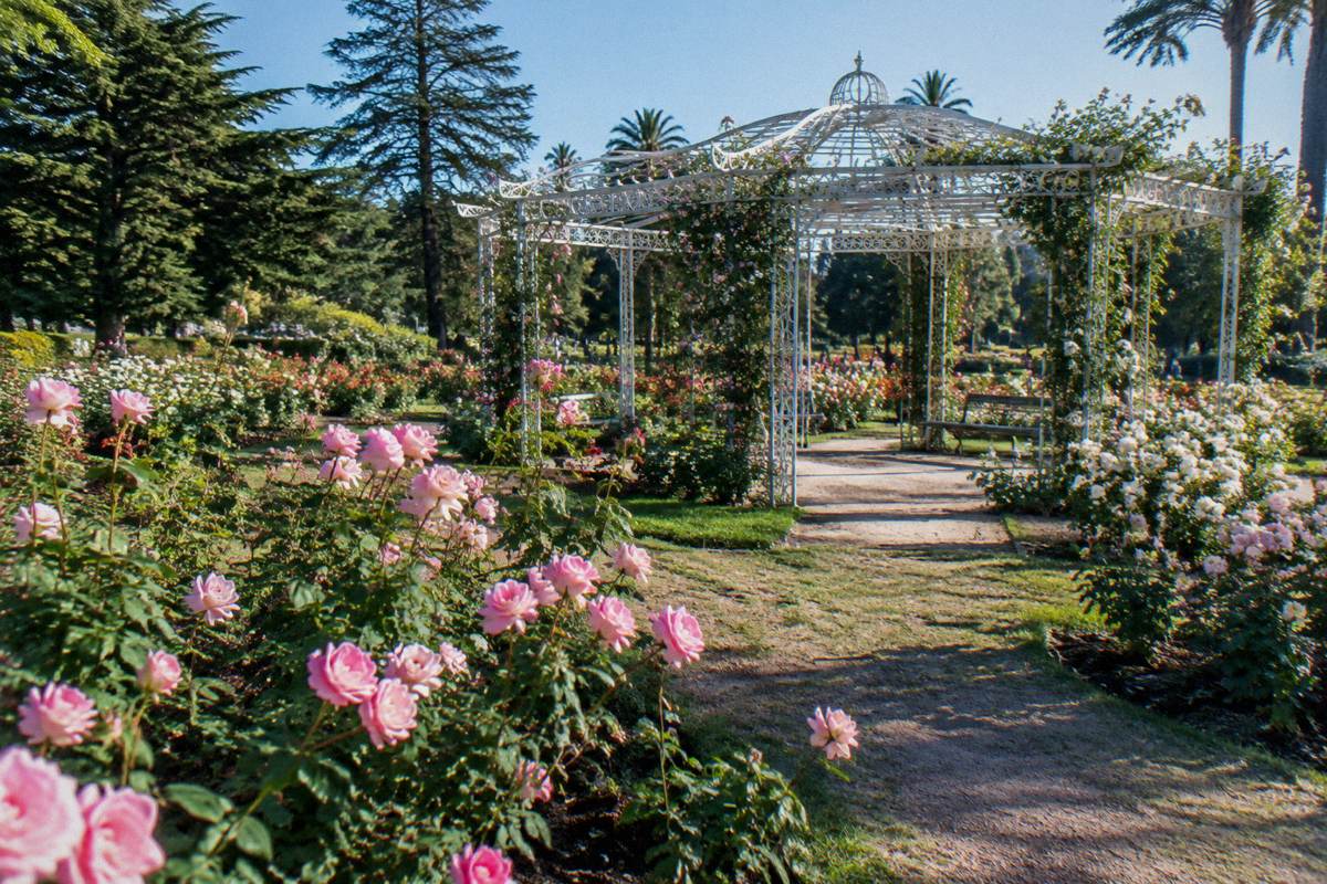 The rose garden in El Prado