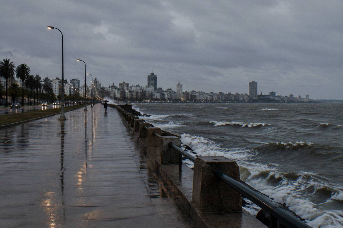 The Rambla on a rainy winter day