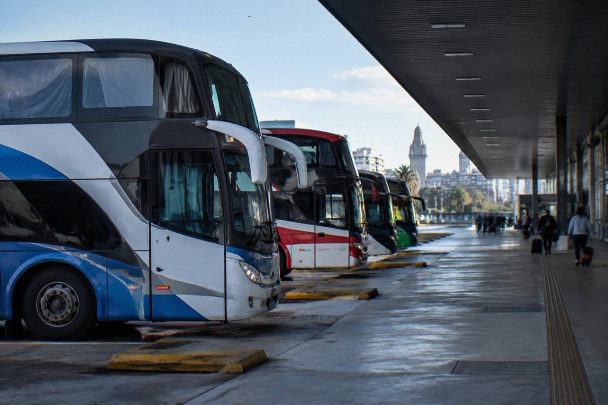 Coaches at a Montevideo bus terminal
