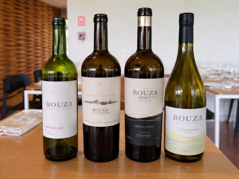 Bouza Winery Premium Tasting & Tapas Session – Multilingual (Esp, Eng, Port)