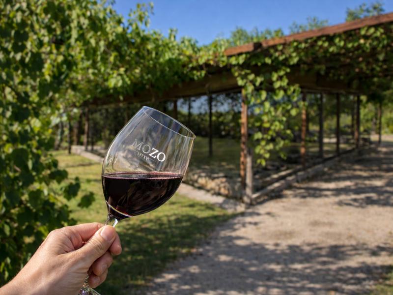 Montevideo: Bodega Moizo Winery Visit & Tasting