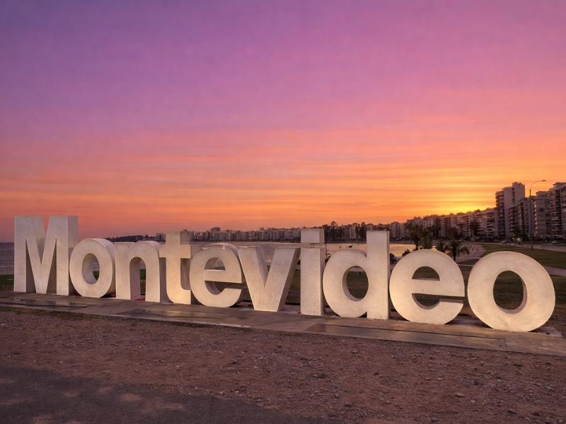 Montevideo Shared City Tour for Cruise Guests – Port Pickup & Highlights