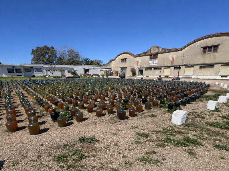 Wine Lovers Delight: Countryside Lunch with Premium Tastings